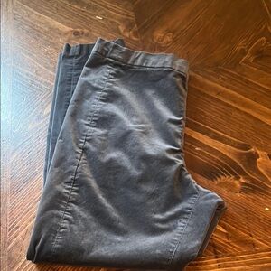 Banana Republic Velour Pants